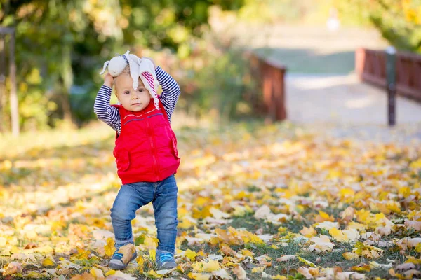 Счастливый маленький ребенок, мальчик, смеющийся и играющий осенью — стоковое фото
