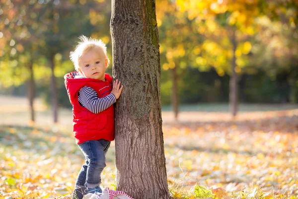 Gelukkig klein kind, jongetje, lachen en spelen in de herfst — Stockfoto