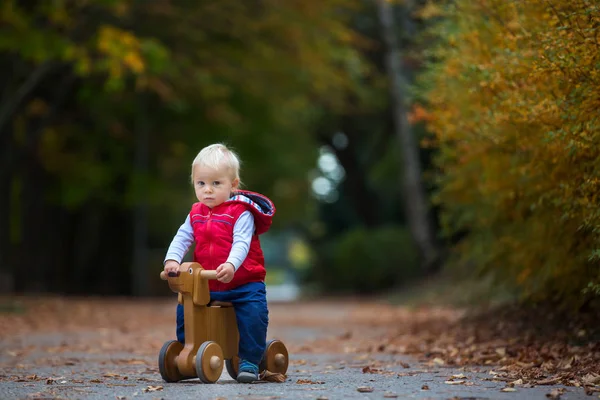 Lilla småbarn pojke med Nalle, ridning trä hund balans bi — Stockfoto