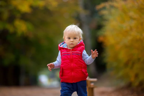 テディベアを持つ小さな幼児の少年、木製の犬のバランスbiに乗って — ストック写真