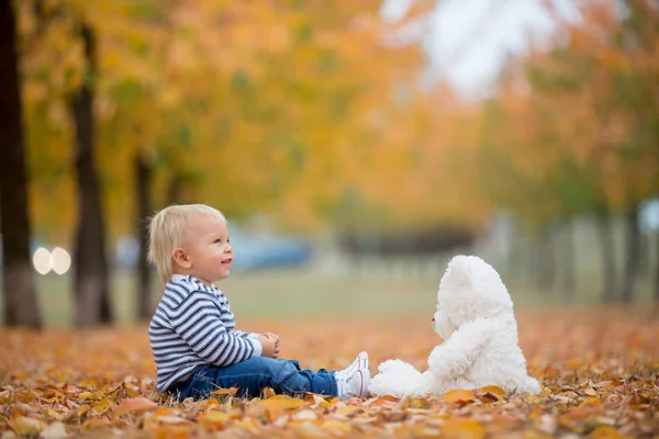 Kleines Kleinkind, das im Herbst mit Teddybär spielt — Stockfoto