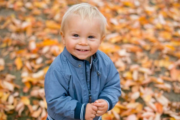 Close portret van een zoete lachende peuter baby jongen in de herfst par — Stockfoto
