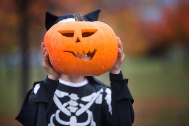 Bir parkta cadılar bayramı oyma kabak ile eğlenen çocuklar, wea