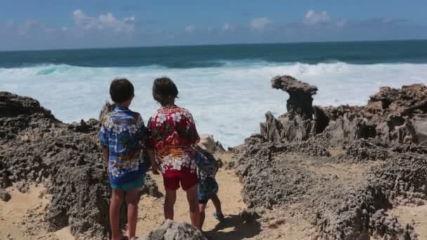 快乐的孩子们穿着五颜六色的夏威夷衬衫 在毛里求斯附近的一个小岛上欣赏海浪的美景 — 图库视频影像