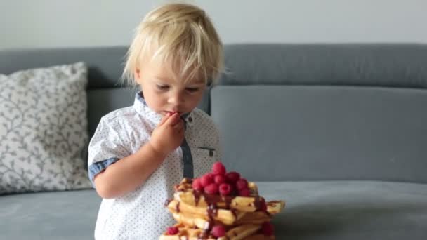 甜蜜的幼儿生日男孩和他的兄弟们 吃比利时华夫饼与树莓和巧克力早餐在家里 — 图库视频影像