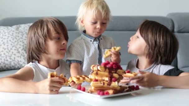 甘い幼児の誕生日の男の子と彼の兄弟は 自宅で朝食にラズベリーとチョコレートとベルギーワッフルを食べて — ストック動画