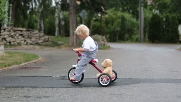 Ragazzino Carino Con Orsacchiotto Giocattolo Cavalcando Triciclo Strada Sotto Pioggia — Video Stock