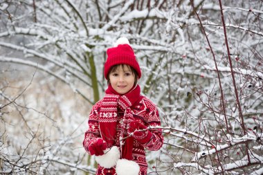Sevimli küçük yürümeye başlayan çocuk ve onun ağabeyleri, açık havada oynarken