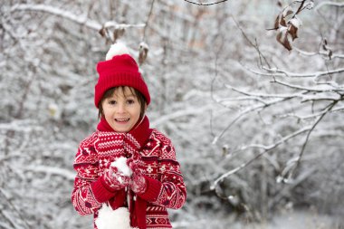 Sevimli küçük yürümeye başlayan çocuk ve onun ağabeyleri, açık havada oynarken