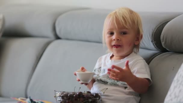 Słodki Chłopczyk Siedzący Kanapie Jedzący Wiśnie Patrzący Książkę Obrazkami Cieszący — Wideo stockowe