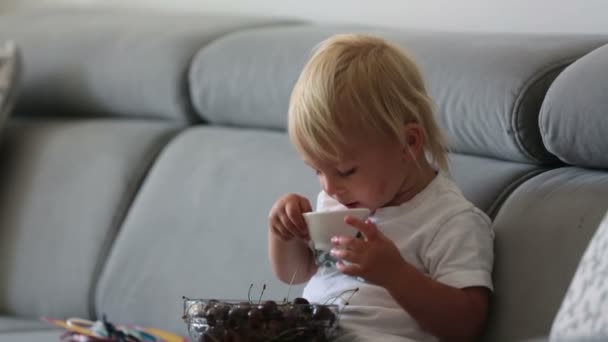 Γλυκό Παιδί Κάθεται Στον Καναπέ Τρώει Κεράσια Και Κοιτάζει Βιβλίο — Αρχείο Βίντεο