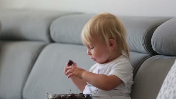 Menino Doce Sentado Sofá Comendo Cerejas Olhando Para Livro Fotos — Vídeo de Stock