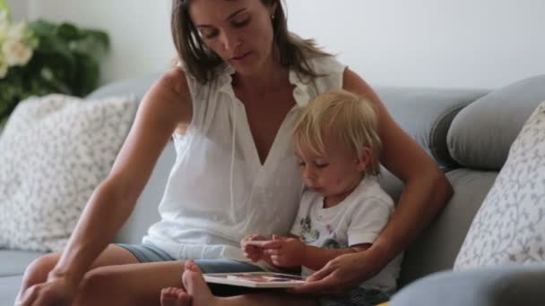 Elbűvölő Anya Képeket Mutat Egy Könyvben Aranyos Kisfiának Otthon Cseresznyét — Stock videók