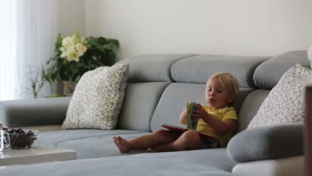 Niño Dulce Sentado Sofá Comiendo Cerezas Mirando Libro Imágenes Disfrutando — Vídeo de stock