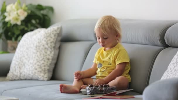Γλυκό Παιδί Κάθεται Στον Καναπέ Τρώει Κεράσια Και Κοιτάζει Βιβλίο — Αρχείο Βίντεο