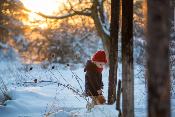 Bebek kışın karda Teddy ile oynuyor. Küçük çocuk. — Stok fotoğraf