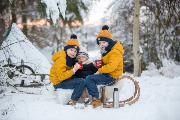 Sweet siblings, children having winter party in snowy forest.  Y — Stock Photo, Image