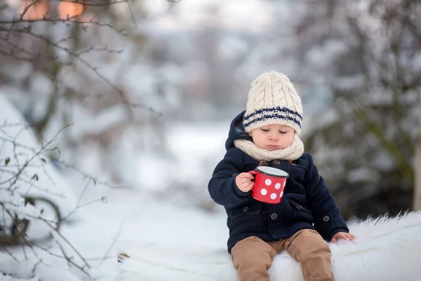 Lieve broers en zussen, kinderen hebben winterfeest in besneeuwd bos. Y — Stockfoto