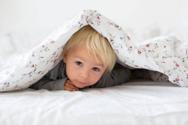 Küçük çocuk, oyuncak ayıyla oynuyor, koyun altında saklanıyor.