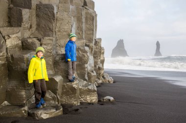 Children, boy brothers, posing on the rock of black sand beach o clipart
