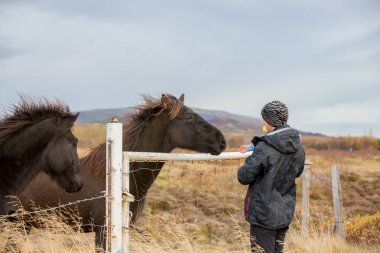 Babasıyla güzel bir çocuk, doğada atları okşuyor.