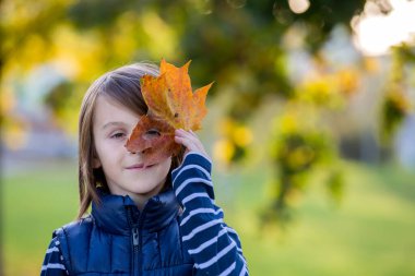 Güzel anaokulu çocuğu, koca bir yaprak tutuyor., 