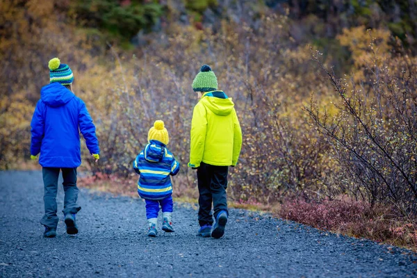 Niños caminando por un hermoso sendero de la naturaleza en Skaftafell —  Fotos de Stock