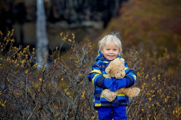 Küçük mutlu çocuk, oyuncak ayıyı tutuyor, Beau 'nun önünde poz veriyor. — Stok fotoğraf
