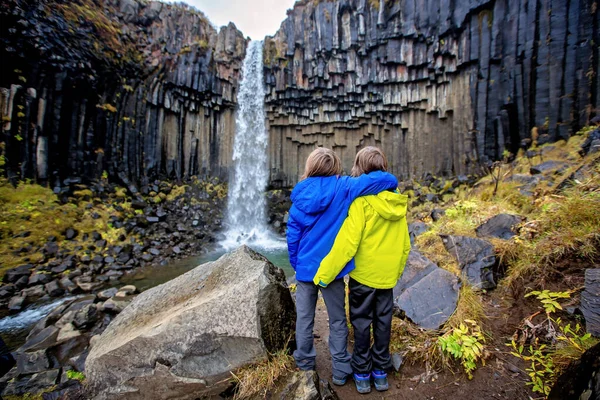 Niños felices, posando frente a una hermosa cascada en Skafta —  Fotos de Stock