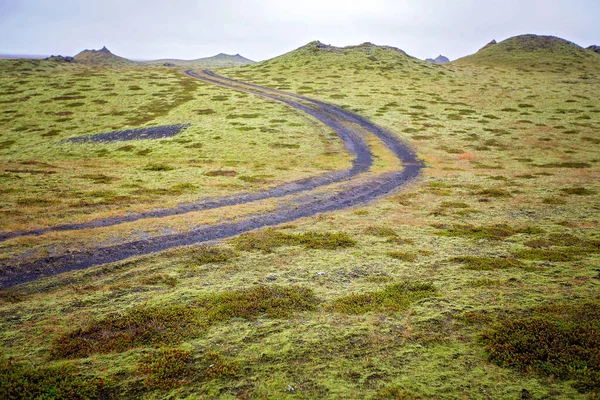 Wunderschöne Landschaft mit wolligem Moos an einem Regentag in Island — Stockfoto
