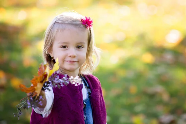 Dolce bambina, bambina, giocare nel parco con le foglie — Foto Stock