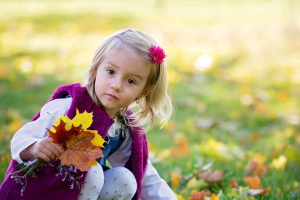 Sweet toddler baby girl, child, playing in the park with leaves — Stock Photo, Image