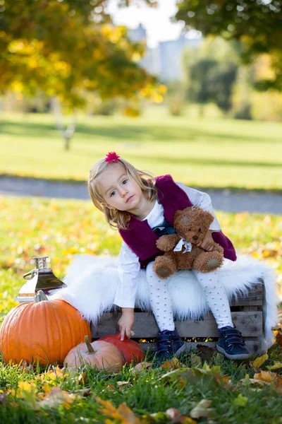 Söt liten flicka, barn, leka i parken med löv — Stockfoto