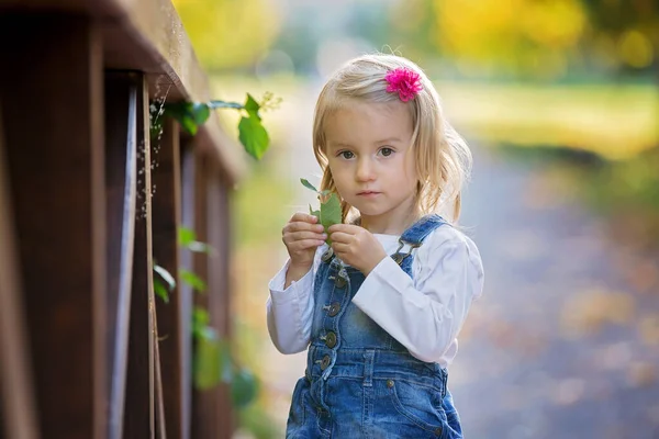 Сладкая девочка, ребенок, играющий в парке с листьями — стоковое фото