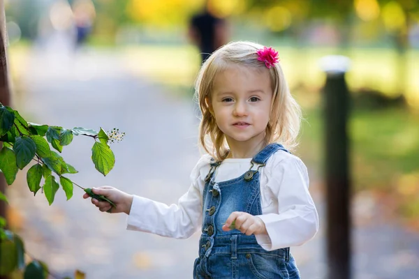 Γλυκό κοριτσάκι, παιδί μου, παίζει στο πάρκο με φύλλα — Φωτογραφία Αρχείου