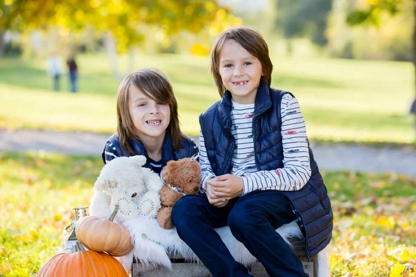 Zwei Kinder, junge Brüder, spielen mit Halloween-Dekoration auf — Stockfoto