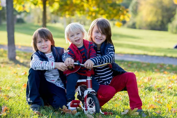 Красивая блондинка двухлетний мальчик и два его старшего брата — стоковое фото