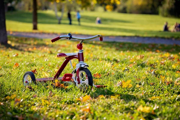 Červená tříkolka v parku při západu slunce, krásný den — Stock fotografie