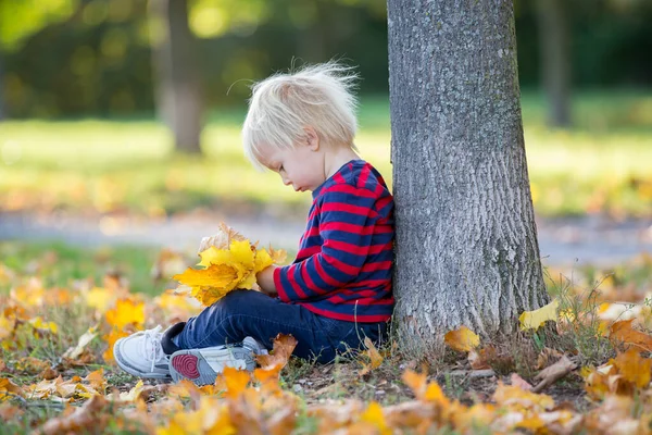 Güzel iki yaşında sarışın bir çocuk, babasının yapraklarıyla oynuyor. — Stok fotoğraf