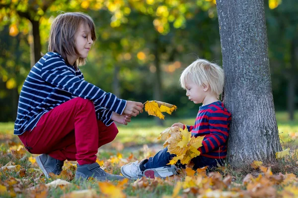 Beautiful two years old blond boy, playing with leaves in the pa — Stock Photo, Image