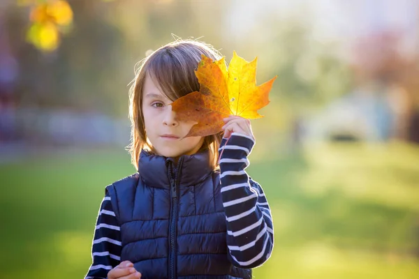 Beautiful preschool boy, holding big leaf in front of his face, — Stock Photo, Image