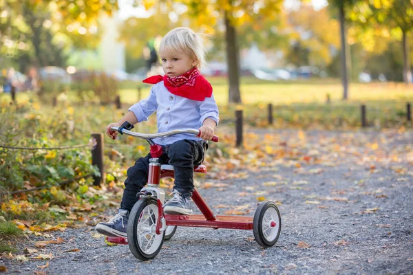 美しいブロンド2歳の幼児の男の子、赤い三輪車に乗って — ストック写真