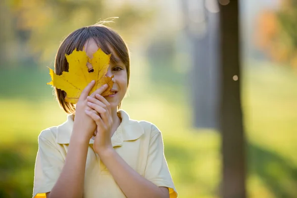 顔の前に大きな葉を持つ美しい就学前の少年, — ストック写真