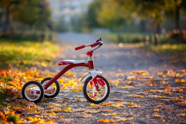 Rotes Dreirad im Park bei Sonnenuntergang, schöner Tag — Stockfoto