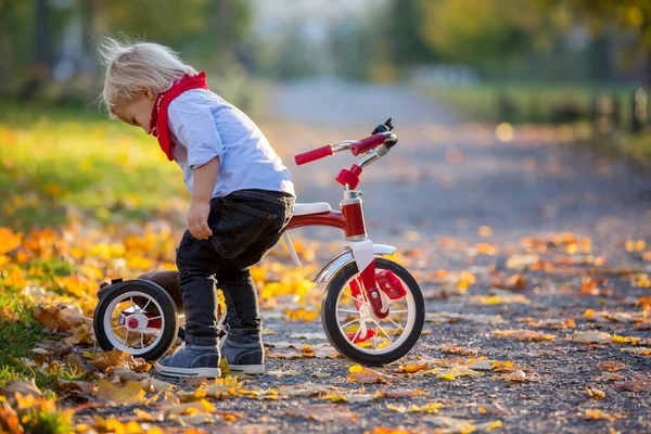 Красивая блондинка, двухлетний мальчик, катается на красном трехколесном велосипеде — стоковое фото