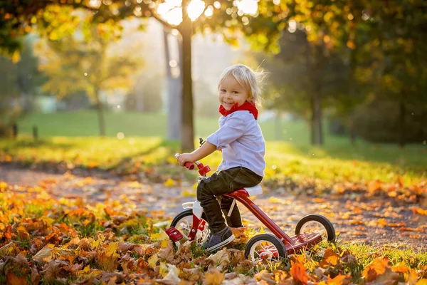 İki yaşındaki güzel sarışın çocuk, kırmızı üç tekerlekli bisiklete biniyor. — Stok fotoğraf