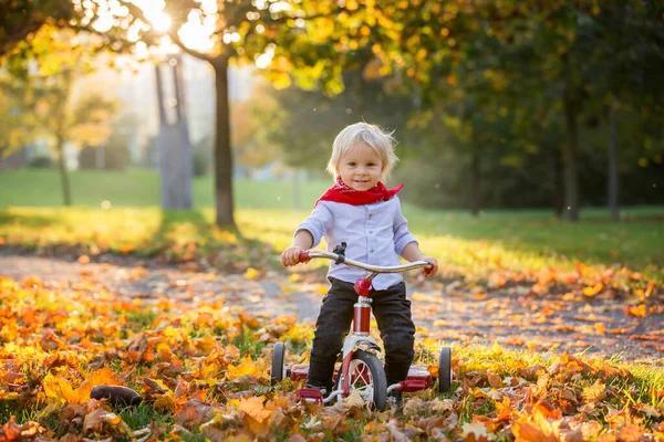 美しいブロンド2歳の幼児の男の子、赤い三輪車に乗って — ストック写真