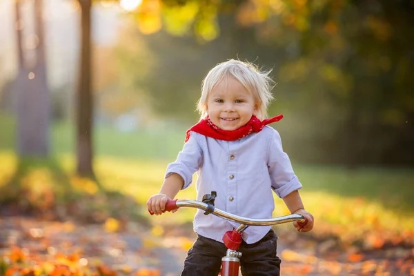 Beautiful blonde two years old toddler boy, riding red tricycle — Stock Photo, Image