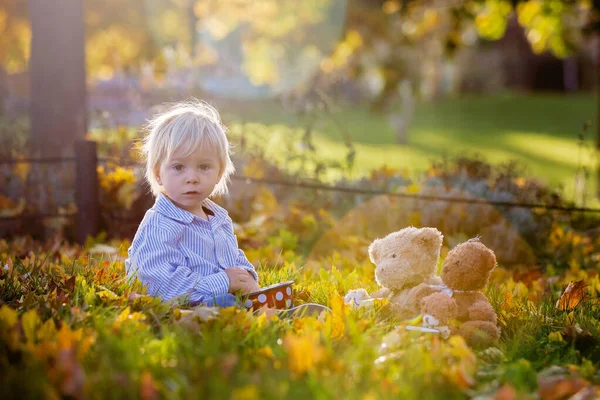 Güzel çocuk, çocuk, Teddy ile parkta çay içiyor. — Stok fotoğraf