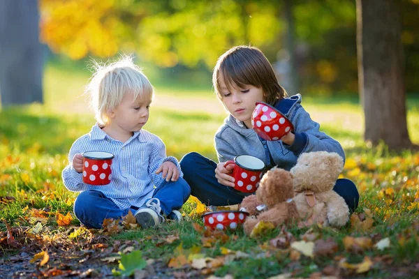 Hermoso niño pequeño y su hermano mayor, niños, bebiendo te —  Fotos de Stock